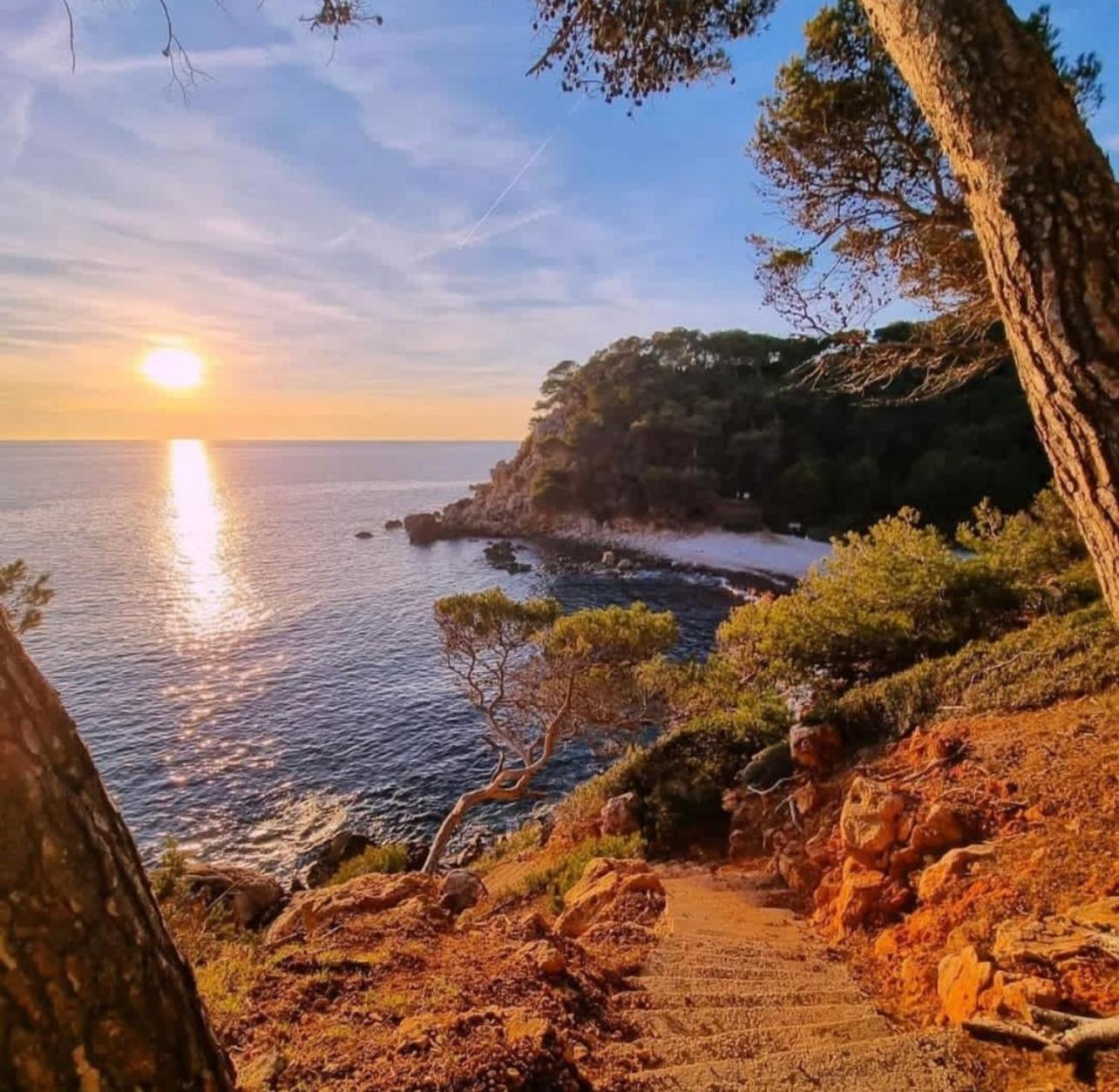 Logement Vue Mer Splendide - Situe A 50 Metres Du Bord De Mer Et 2 Minutes Des Plages - Bandolina المظهر الخارجي الصورة