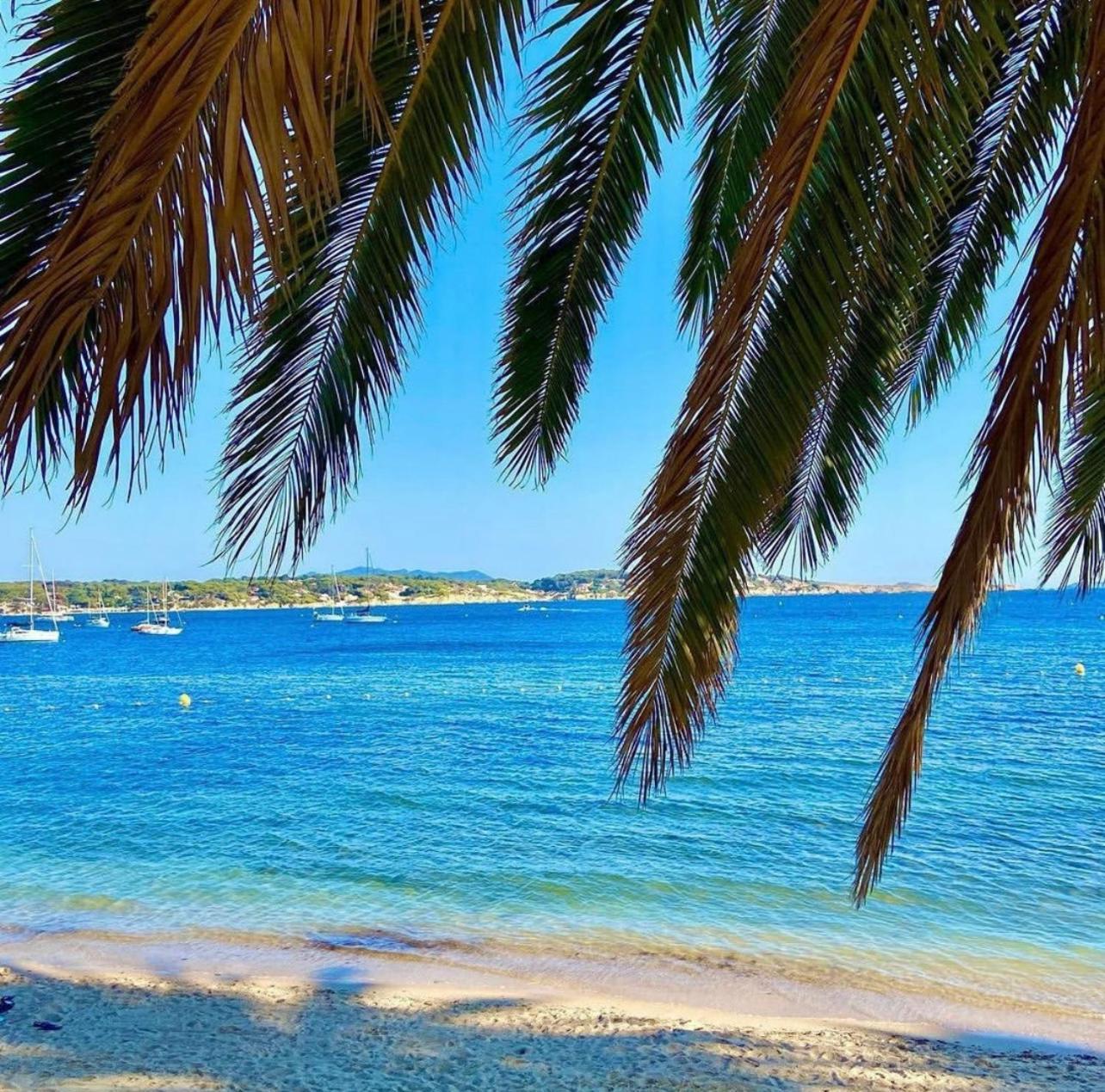 Logement Vue Mer Splendide - Situe A 50 Metres Du Bord De Mer Et 2 Minutes Des Plages - Bandolina المظهر الخارجي الصورة