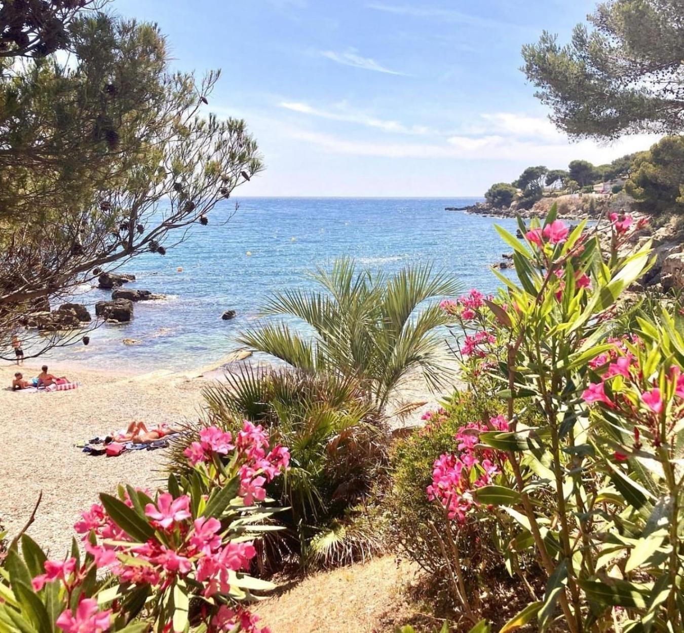 Logement Vue Mer Splendide - Situe A 50 Metres Du Bord De Mer Et 2 Minutes Des Plages - Bandolina المظهر الخارجي الصورة