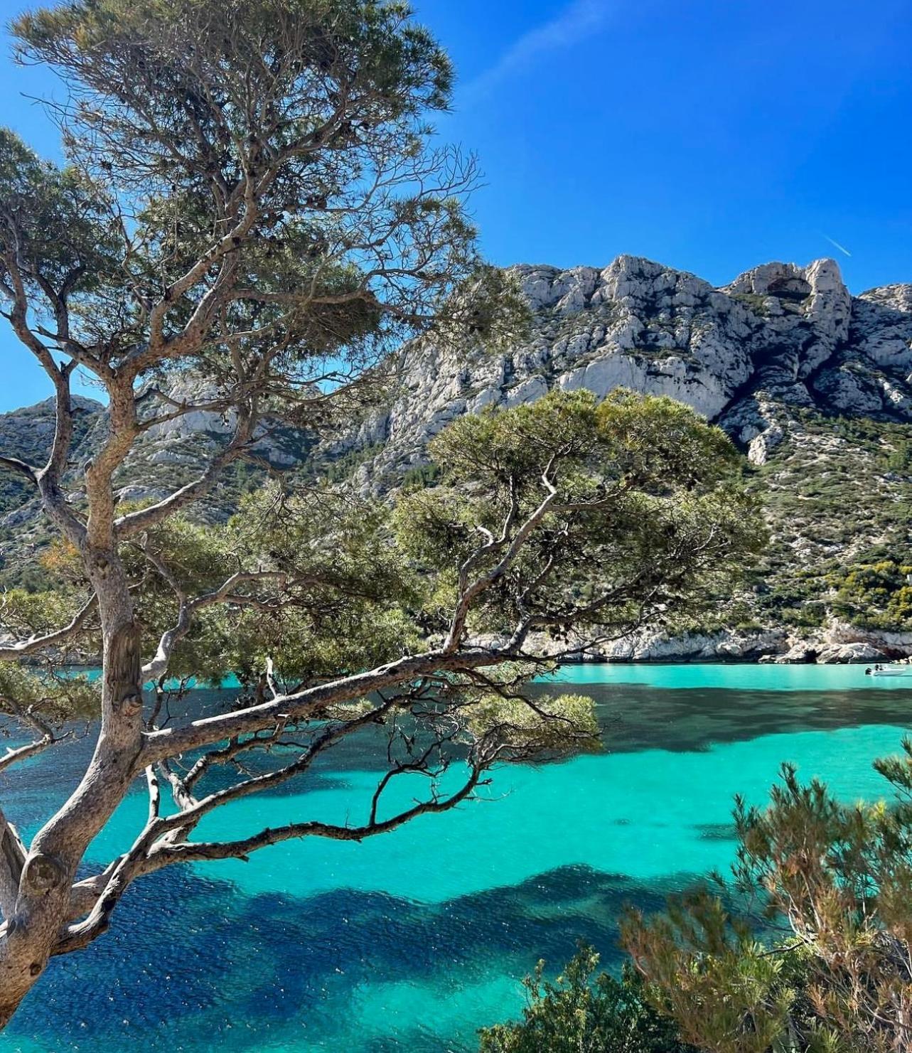 Logement Vue Mer Splendide - Situe A 50 Metres Du Bord De Mer Et 2 Minutes Des Plages - Bandolina المظهر الخارجي الصورة